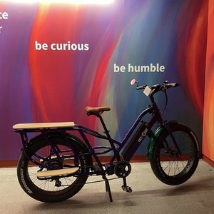 2022 FattE-Bikes Major T Purple