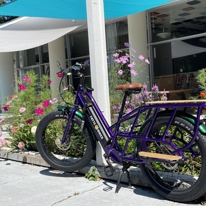 2022 FattE-Bikes Major T Purple
