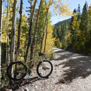 Surly Bridge club Yellow or Gold