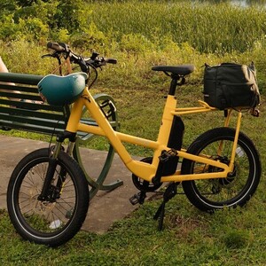2025 REI Co-op Generation e1.1 Electric Bike Yellow or Gold