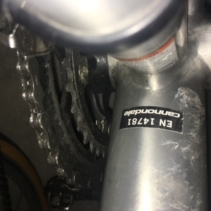 2025 Cannondale STI Silver, gray or bare metal