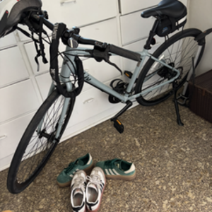 Liv Blue and Silver, gray or bare metal