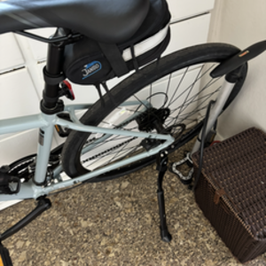 Liv Blue and Silver, gray or bare metal