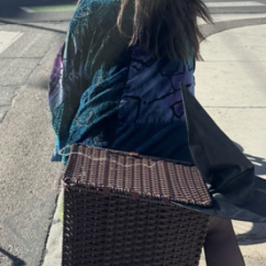 Liv Blue and Silver, gray or bare metal