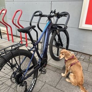 2022 Liv MTB E-bike Blue and Black