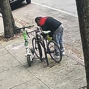 Specialized Silver, gray or bare metal