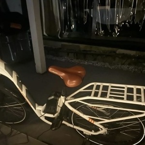 2019 Rad Power Bikes Step Thru White, Silver, gray or bare metal, and Orange