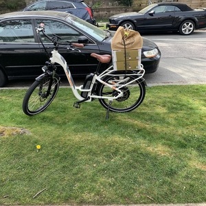 2019 Rad Power Bikes Step Thru White, Silver, gray or bare metal, and Orange