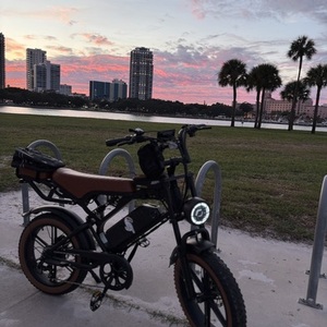 2025 TamoByke Black and Brown