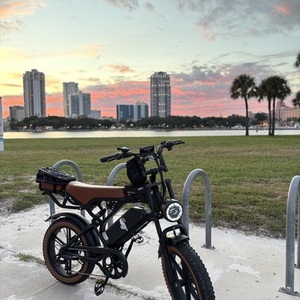 2025 TamoByke Black and Brown