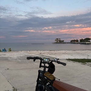 2025 TamoByke Black and Brown