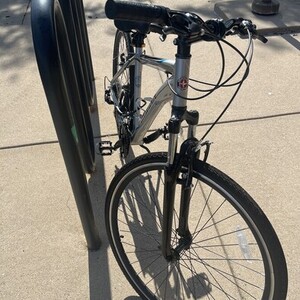 Schwinn Silver, gray or bare metal