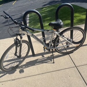 Schwinn Silver, gray or bare metal