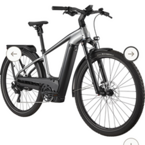 2023 Cannondale Tesoro Neo X 1 Silver, gray or bare metal