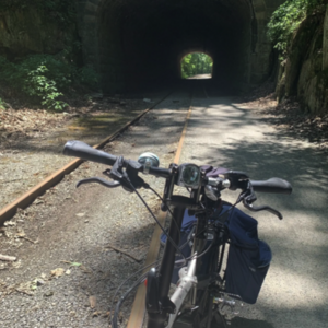 2023 Tern Tern Vektron S10 Folding Electric Bike Silver, gray or bare metal