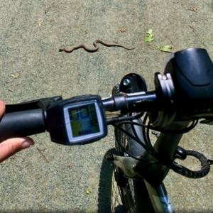 2023 Tern Tern Vektron S10 Folding Electric Bike Silver, gray or bare metal