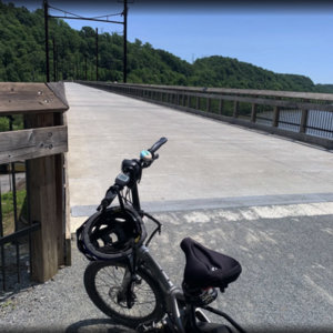 2023 Tern Tern Vektron S10 Folding Electric Bike Silver, gray or bare metal