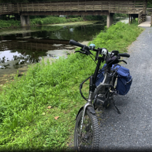 2023 Tern Tern Vektron S10 Folding Electric Bike Silver, gray or bare metal