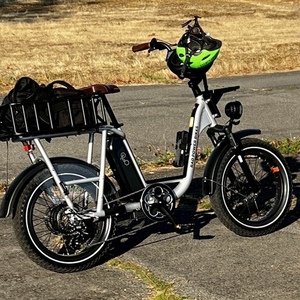 2022 Rad Power Bikes RadRunner Plus Silver, gray or bare metal