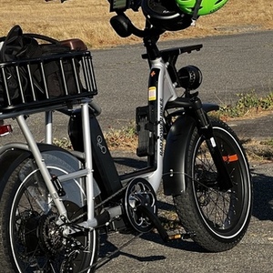 2022 Rad Power Bikes RadRunner Plus Silver, gray or bare metal