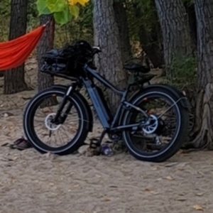 2023 Rad Power Bikes Rad Rover 6 Plus Black