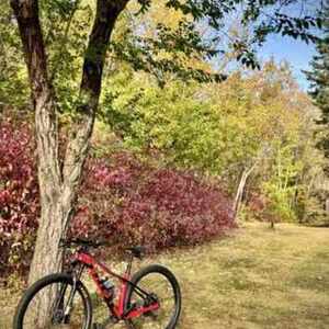 2025 Trek 2021-2024 Procaliber 9.5 Gen 2 Red and Black