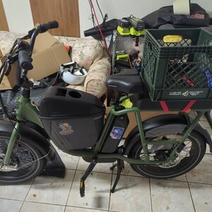 2025 Rad Power Bikes RadRunner Green