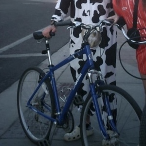 2010 Diamondback Edgewood Blue