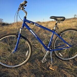 2010 Diamondback Edgewood Blue
