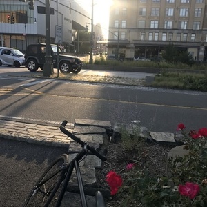 2017 State Bicycle Co. Matte black 6 Black