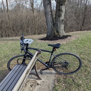 2024 Cannondale Quick 5 Black