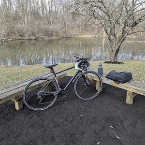 2024 Cannondale Quick 5 Black