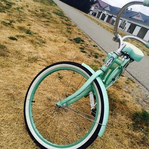 2013 Schwinn Starlet Green and White