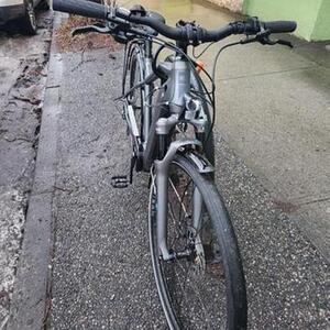 2022 MEC Ebike Silver, gray or bare metal