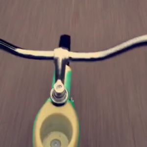 2013 Schwinn Starlet Green and White