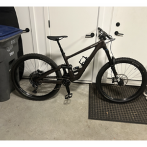 2022 Specialized Enduro Brown