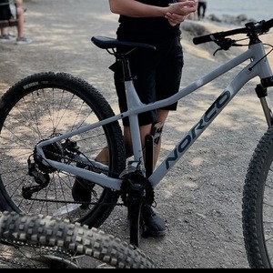 Norco Bikes Silver, gray or bare metal