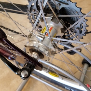 1995 Giant Iguana Red