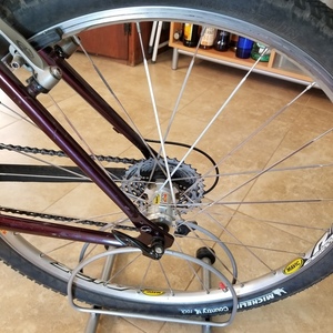 1995 Giant Iguana Red