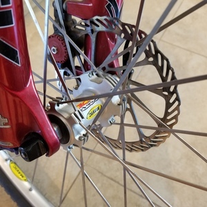 1995 Giant Iguana Red