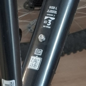 2024 Rockrider EXPL 500 Black