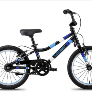 Guardian GBE-16-1-BB Black, Blue, and White