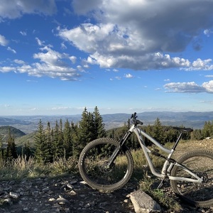 2021 Ibis Ripmo AF Silver, gray or bare metal