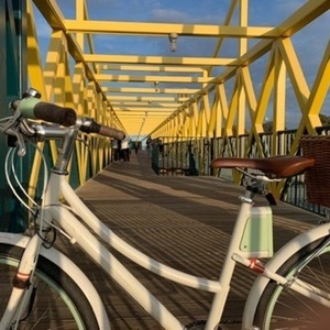 2017 Faraday Courtland White