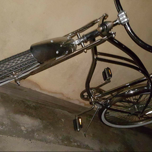 2009 Other Silver, gray or bare metal