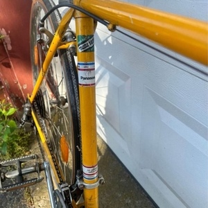 1960 Panasonic 10 Speed Deluxe Yellow or Gold