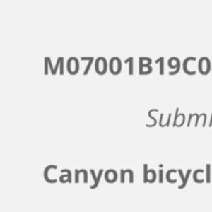 2019 Canyon bicycles Neuron Al 7.0 Orange