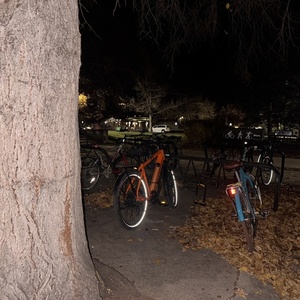 2019 Canyon bicycles Neuron Al 7.0 Orange