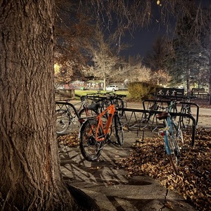 2019 Canyon bicycles Neuron Al 7.0 Orange