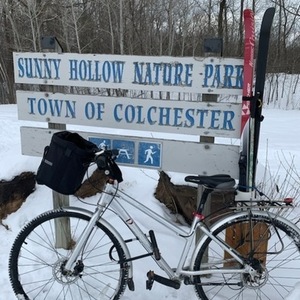 Dynamic Bicycles Tempo Silver, gray or bare metal